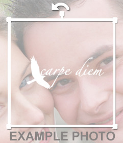 Effet photo pour mettre vos photos la phrase CARPE DIEM 