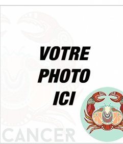 Effet photo signe du zodiaque en ligne du cancer. Cancer de crabe