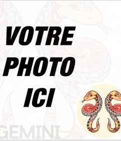 Cadre photo Gemini signe à insérer dans votre photo de profil