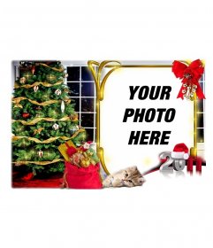 Christmas card in which your photo appears in a gold frame with a red ribbon and a bunch of bells. Your photo appears inside a home at Christmas, with the tree and the sack of presents and a small cat lying to your image, next to a 2011 in silver and red, with a Santa Claus hat