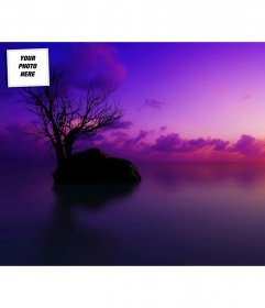 Sunset, customizable wallpaper for twitter with your photo