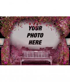 Pink photomontage to put your photo on a bench