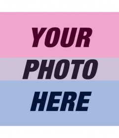 Filter of bisexual flag to add in your photos for free