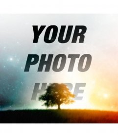 Make a collage of a starry sky with your picture