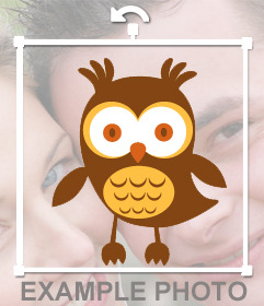 Cute owl sticker