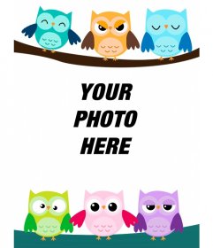 Photo frame of six owls