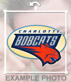 Sticker with the logo of the Charlotte Bobcats