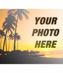 Create a collage with a summer landscape with a beach and palm trees with orange tones and a picture of you online and free
