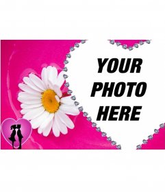 Margarita and heart photo frame with pink background to put your background image