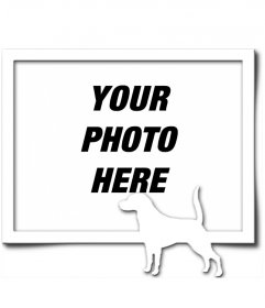Digital Picture Frame, which consists of a gray border and white silhouette of a dog with its tail raised, as if he had found a trail