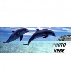 Cover photo for Facebook of dolphins jumping with customizable background with your