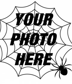 Put a spiders web and a spider in your photo, terror effect