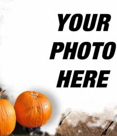 Special Halloween photo frame with pumpkins on the background