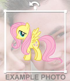 Photo effect with Fluttershy to paste as a sticker in your photos
