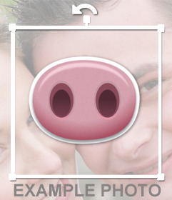 Pig nose to paste in your images effect online