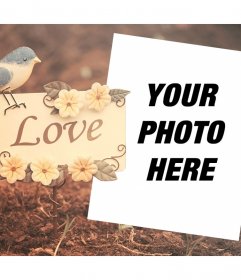 Beautiful and decorative frame with a bird and the word LOVE to edit