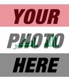 Free filter for your photo with the flag of Iraq