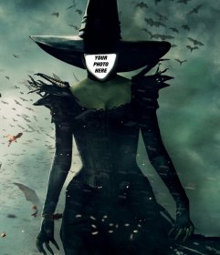 Photo montage of the Oz witch to put a picture of your face on it