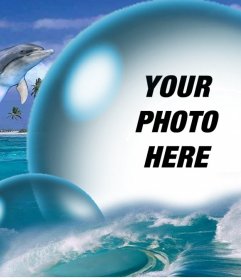 Dolphins and a big bubble to put your photo for free 
