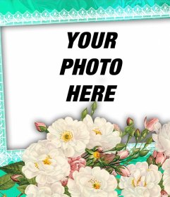 Những bông hoa trắng để trang trí những hình ảnh yêu thích của bạn