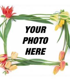 Picture frame with spring flowers for your photos
