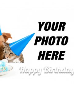Sweet birthday card with a dog and a cat for a picture