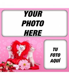 Romantic photomontage with kittens and hearts with a pink background to place two