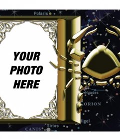 You can add your image in the frame of the zodiac sign Scorpio