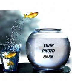 Create a photomontage with a tank full of water with yellow fishes jumping from a glass where you will put a picture