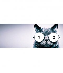 Customizable cover photo for Facebook with a cat with sunglasses