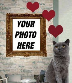 Photomontage with gray Russian cat