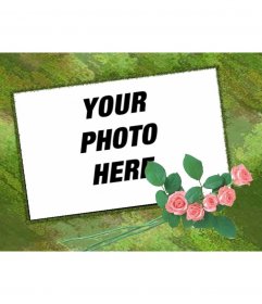 Khung ảnh có thể tùy chỉnh với ảnh của bạn trên nền màu xanh lá cây và nhánh hoa hồng