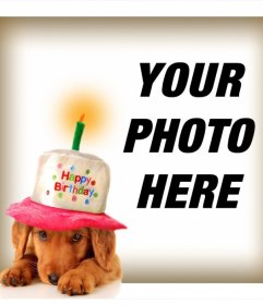 Congratulate with this birthday card with a puppy 