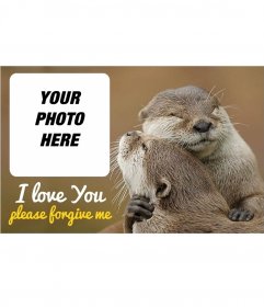 Collage of forgiveness with two otters hugging