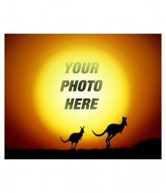 Put your picture in the background of the sun in a landscape with kangaroos jumping in the sunset. Easily create the composition from the editor of this page, you can save the result or email it
