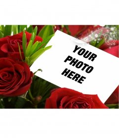 Gift virtual flowers with this photo frame for a photo, which appears surrounded by