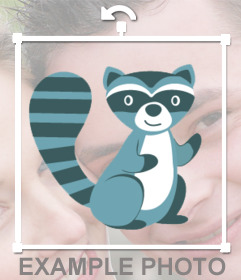 Sticker of a raccoon