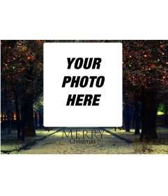 Add your photo to this Christmas landscape with the phrase Merry Christmas