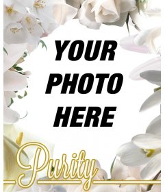 Frame photos of white flowers, roses and lilies