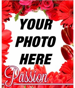 Photo frame made of red flowers, like tulips and roses to put your photo on background