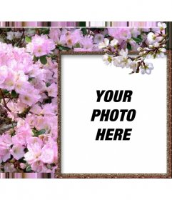 Photo frame for online photos of white flowers and spring