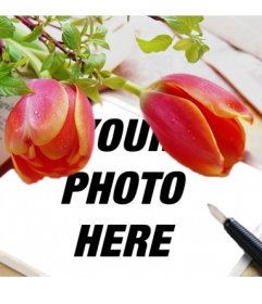 Surrounded photo frame for photos of red tulips in which you can put your photo on a canvas simulating a notebook with a pen daub