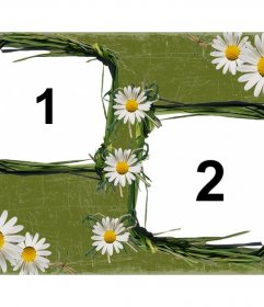 Daisies decorate this photo frame for online photos that can put two of your fots with our online editor
