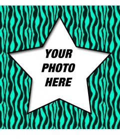 Digital photo frame with star and turquoise and black zebra  background to decorate