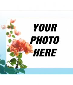 Digital photo frame for your photo. There is a green plant with leaves petals simulates orange-red hue