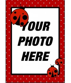 Ladybug photo frame