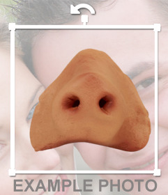 Sticker of a pig nose that you can put on the face of the photo that you upload