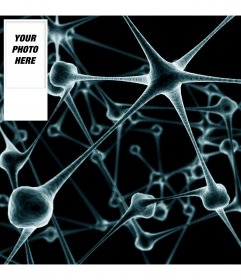 Background for twitter of neural connections customizable with your own image