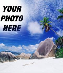 Photomontage to make a collage with your photo and the heaven of this island paradise. See palm trees behind some rocks to the beach, a turquoise sea and blue sky with patches of white clouds
