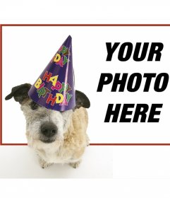Birthday Frame with a puppy with party hat in the foreground